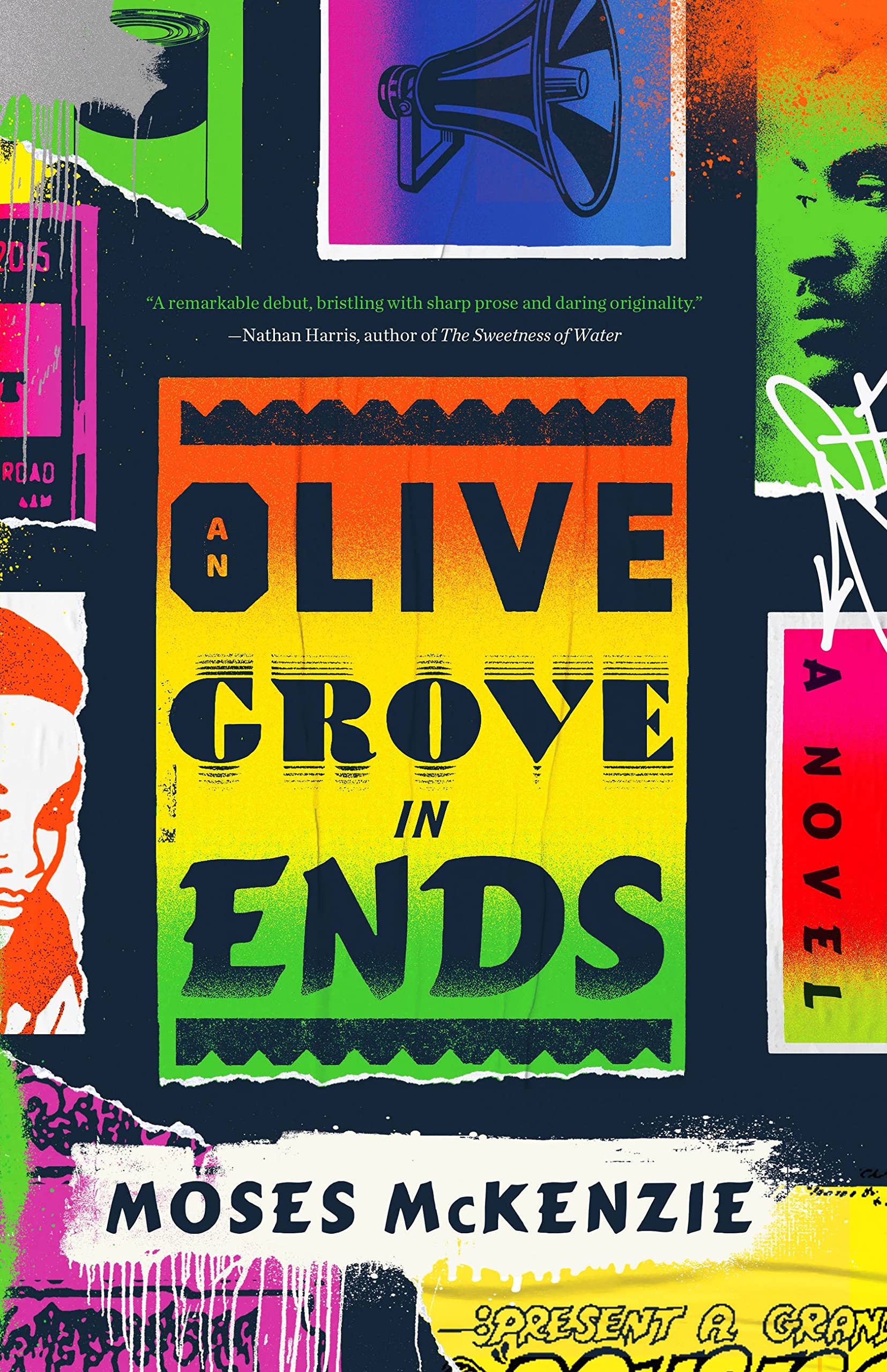 Image for "An Olive Grove in Ends"