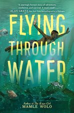 Image for "Flying Through Water"