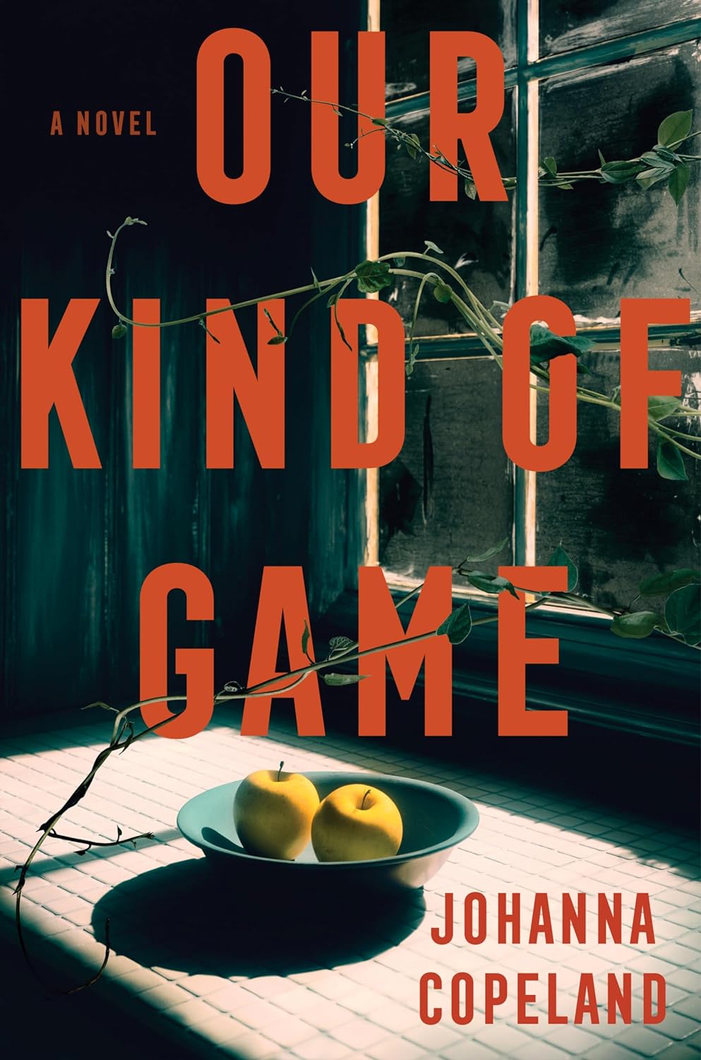 Image for "Our Kind of Game"