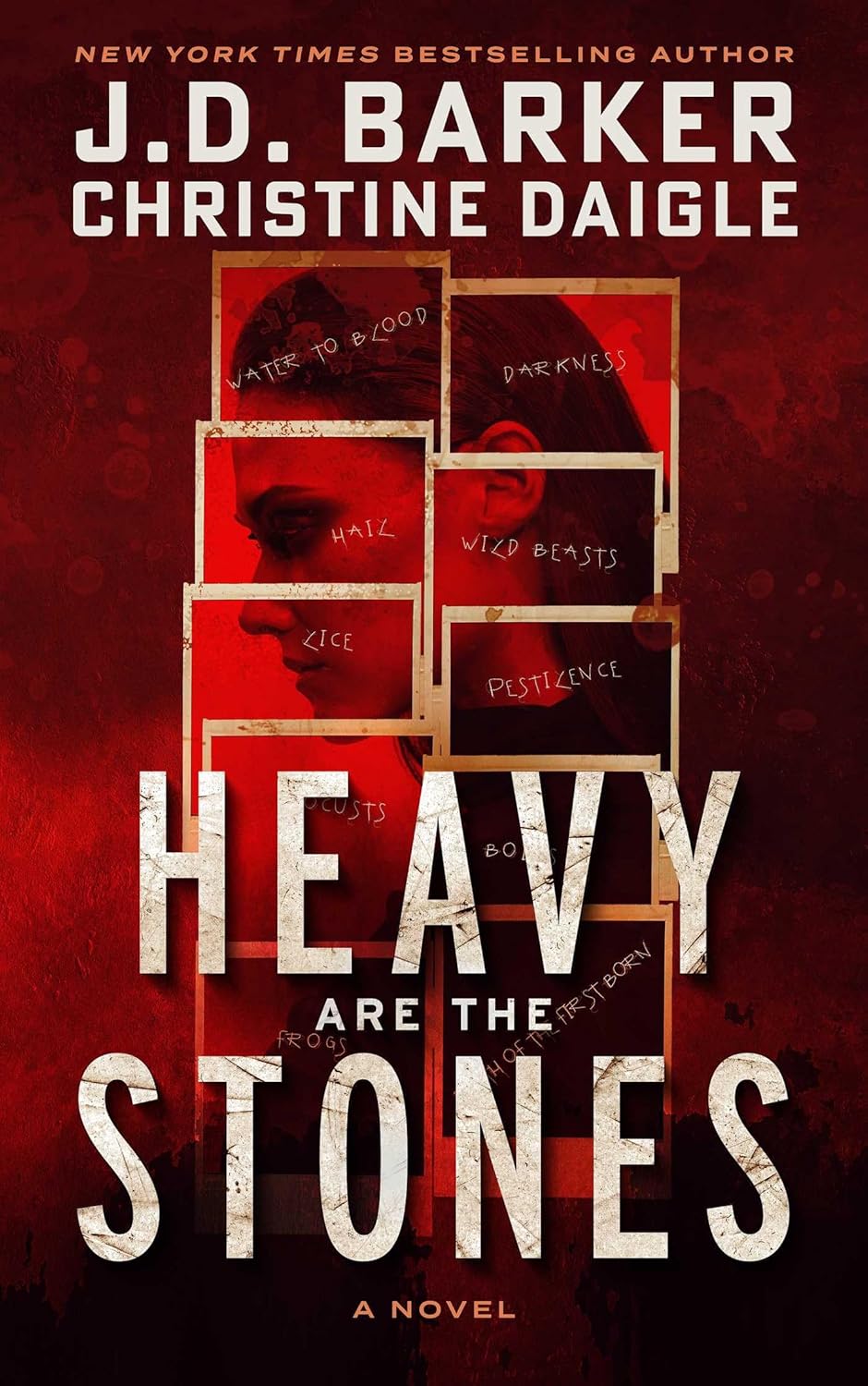 Image for "Heavy are the Stones"