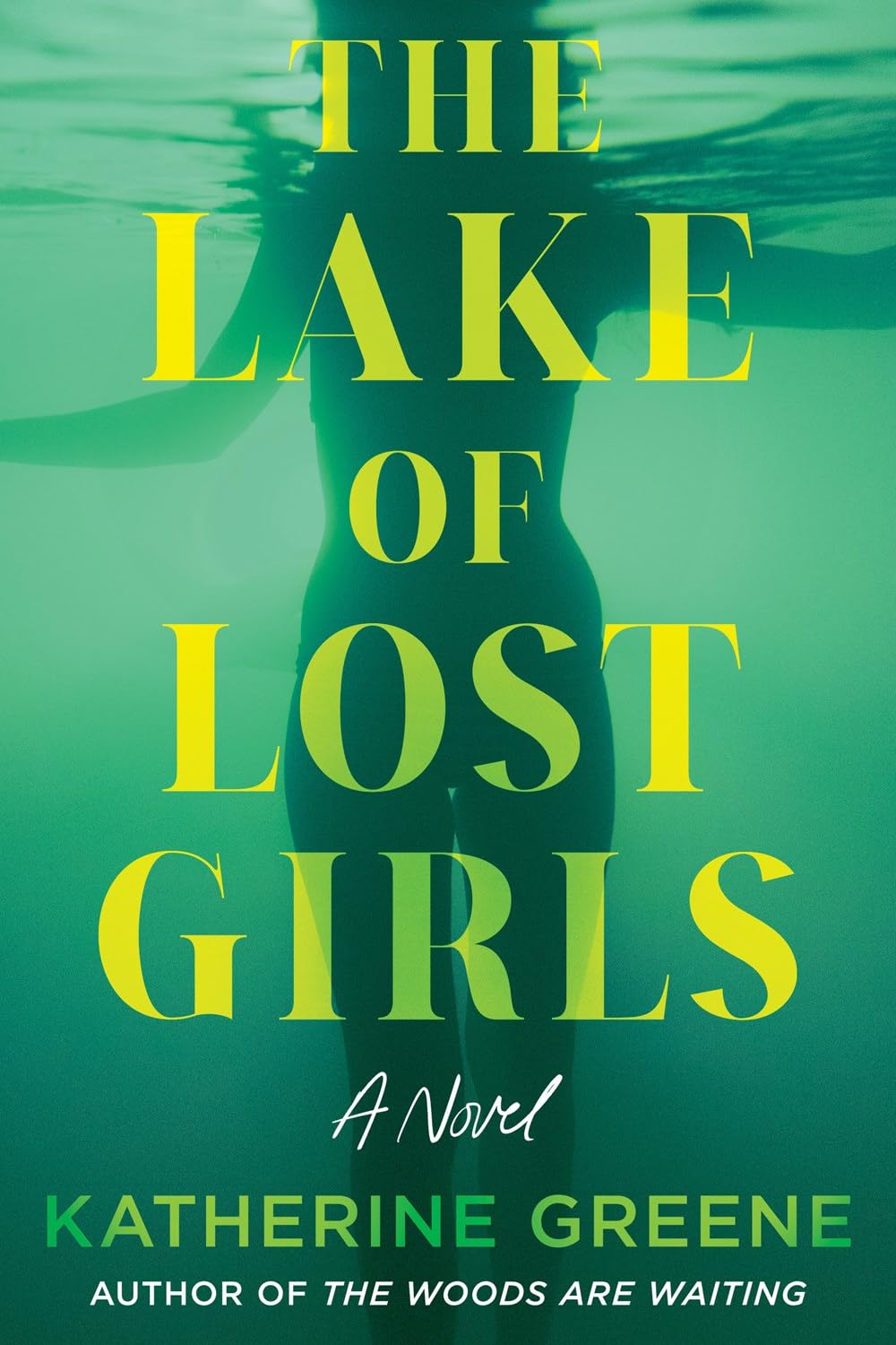 Image for "The Lake of Lost Girls"a