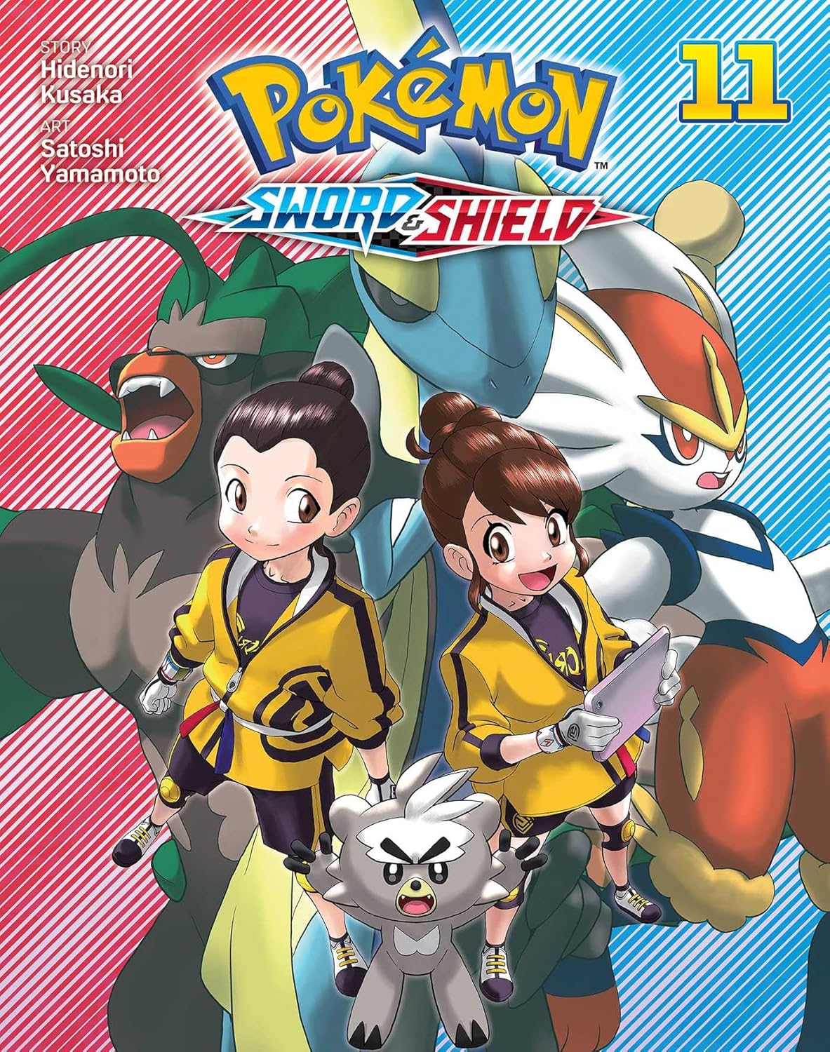 Image for "Pokémon: Sword and Shield, Vol. 11"