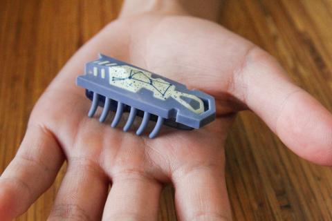 Hand holding Hexbug