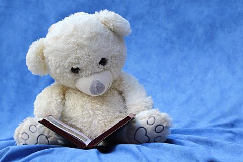 white teddy bear reading