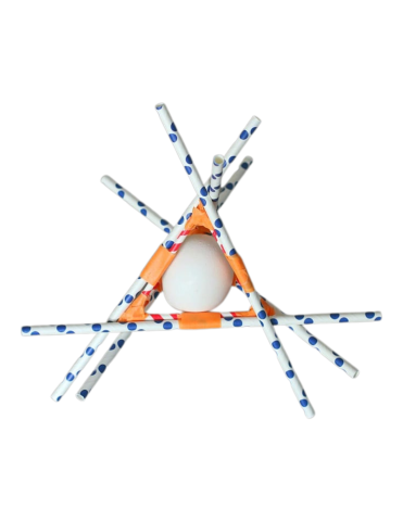 Image of an egg with a protective layer of straws around it